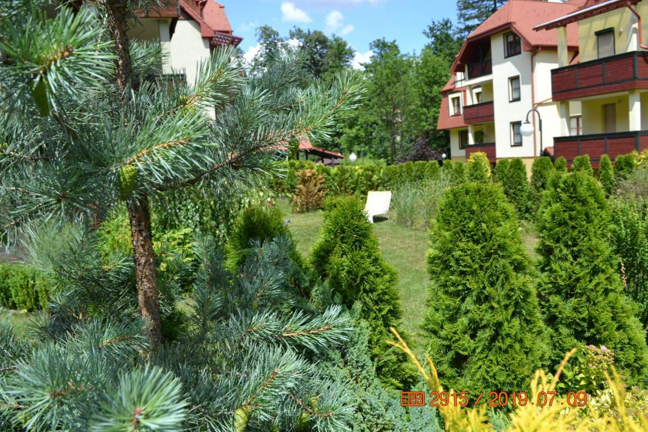 Apartament Parkowa Polana Z Ogrodem Διαμέρισμα Polanica-Zdrój Εξωτερικό φωτογραφία